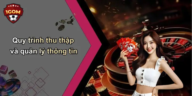 Quy trình thu thập và quản lý thông tin